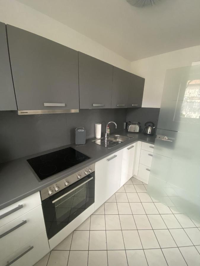 Apartment Am Gruenen Park Эрфурт Экстерьер фото